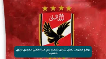 برامج حصرية.. تحليل شامل ينتظرك على قناة الأهلي المصري بأقوى التغطيات